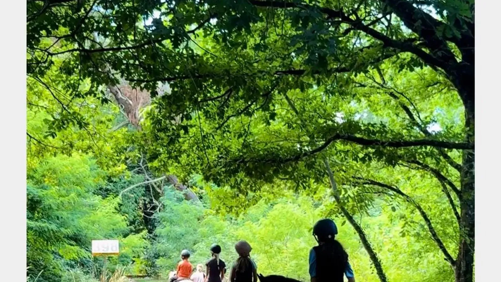 Loire Valley Summer Camp