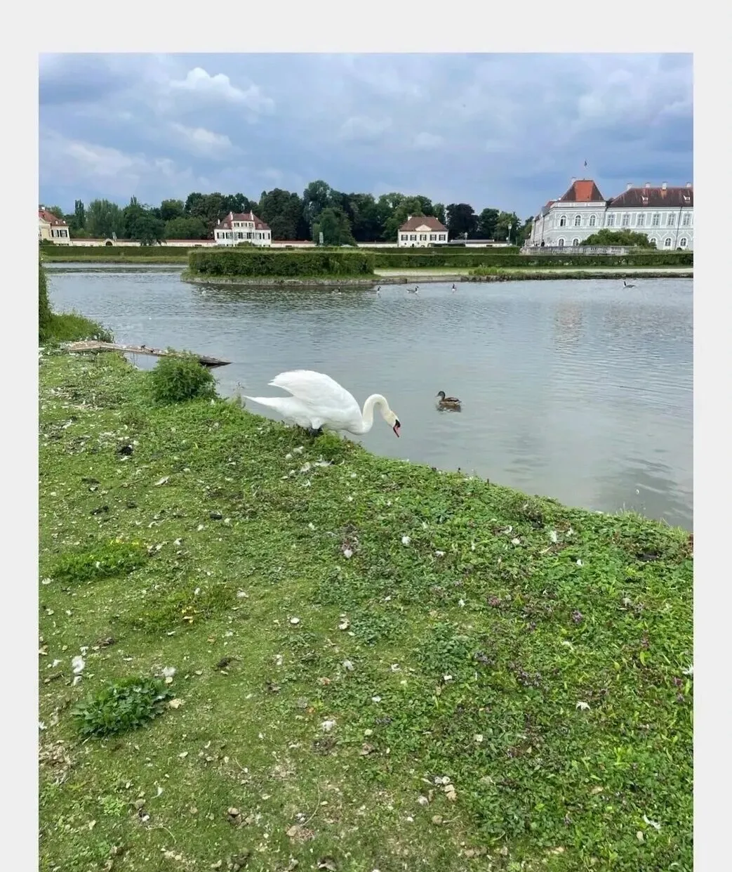 Munich Family Camp — photo 11