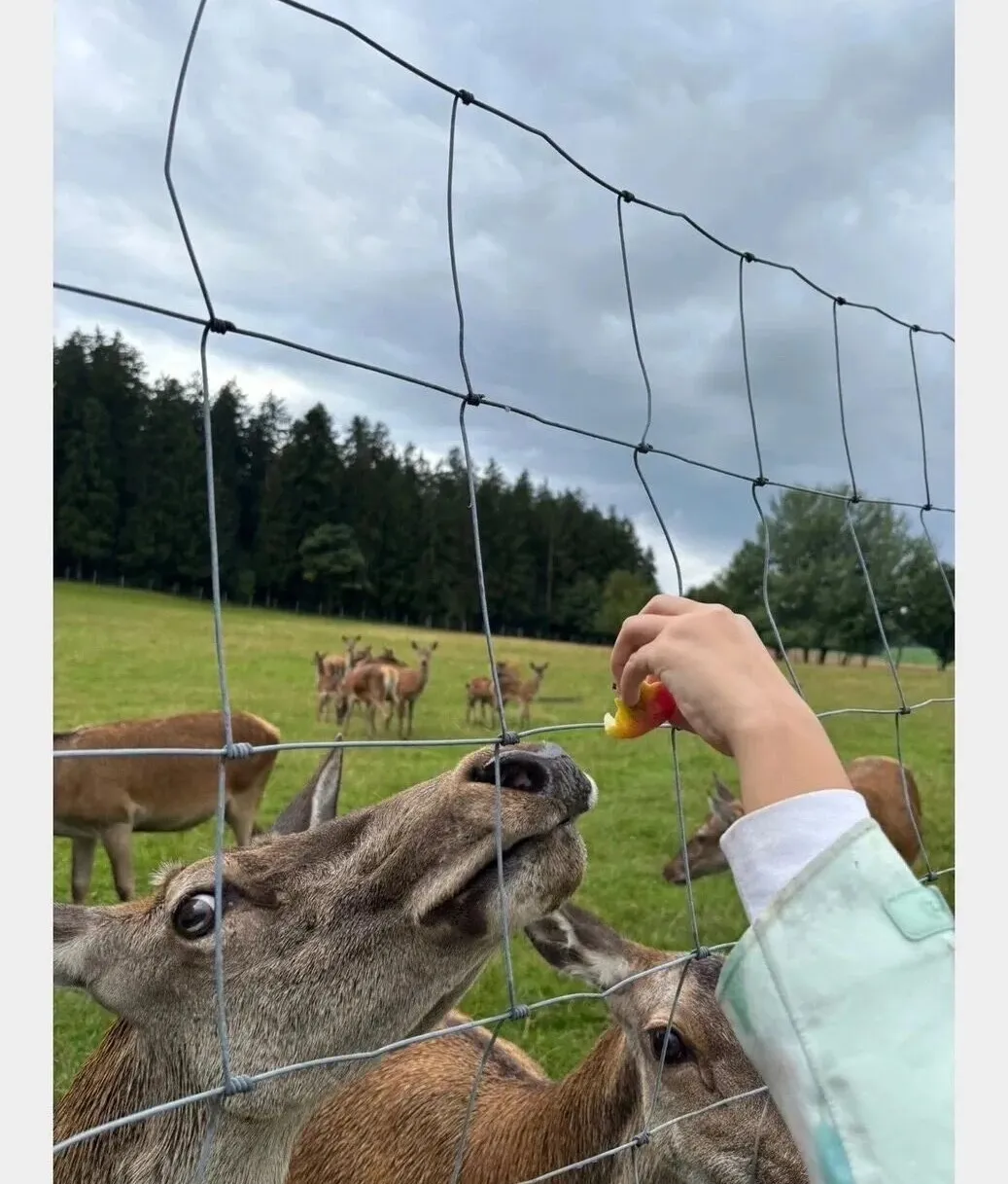 Munich Family Camp — photo 15
